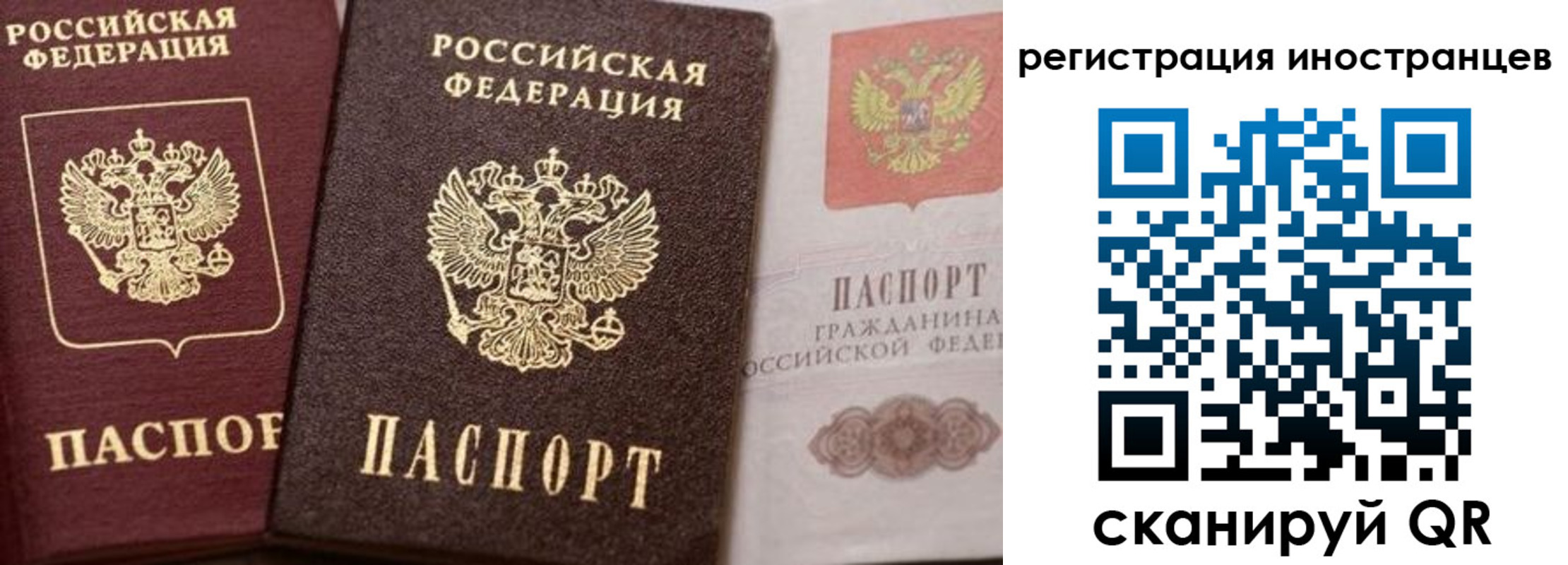 временная регистрация купить в Гусеве
